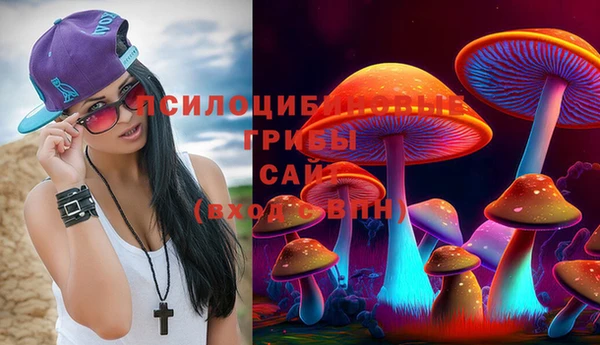 тгк Беломорск