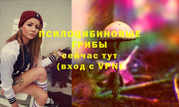 эйфоретик Белокуриха