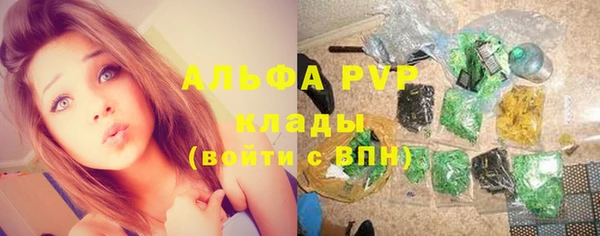 эйфоретик Белокуриха
