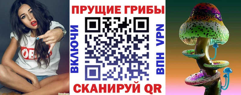 сайты даркнета клад Реж Галлюциногенные грибы Cubensis